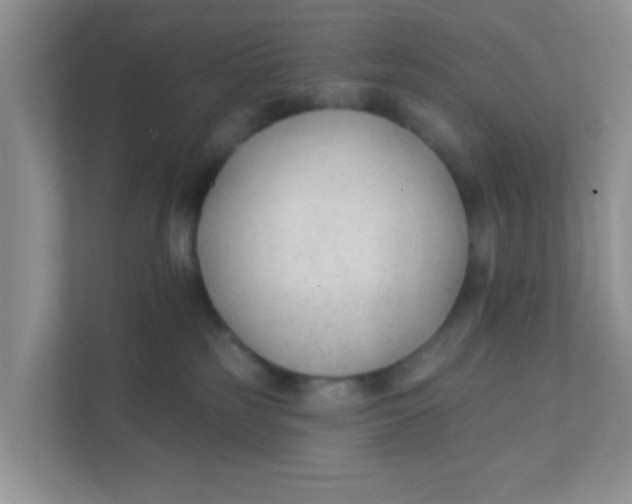 X0000111380185200907311101