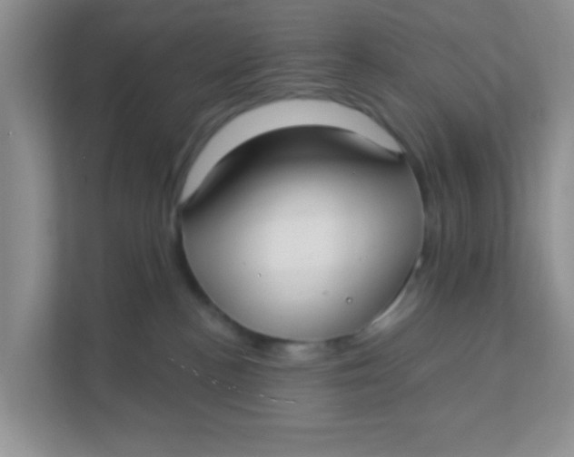 X0000111380188200907311101