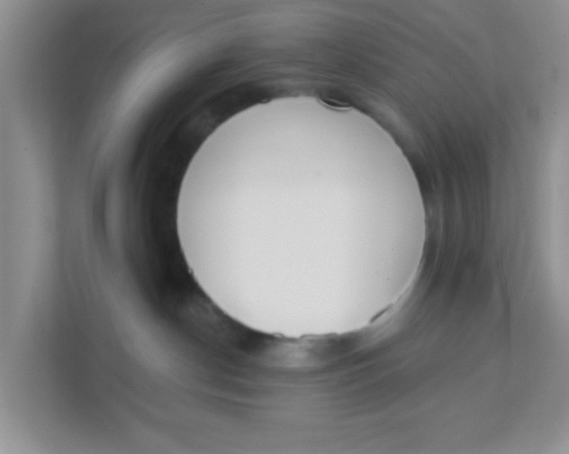 X0000111380190200907311101