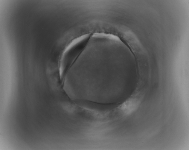 X0000111380192200907311101