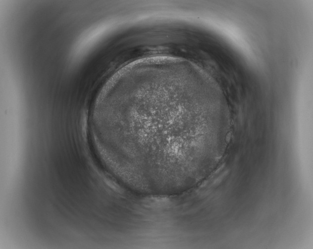 X0000111380194200907311100