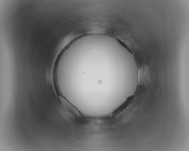 X0000111380195200907311100