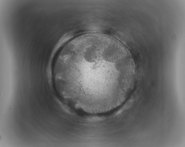 X0000111380198200907311100