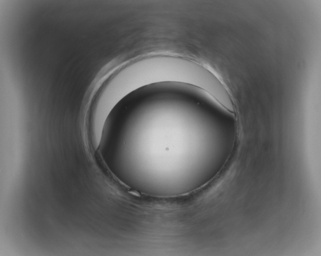 X0000111380199200907311100