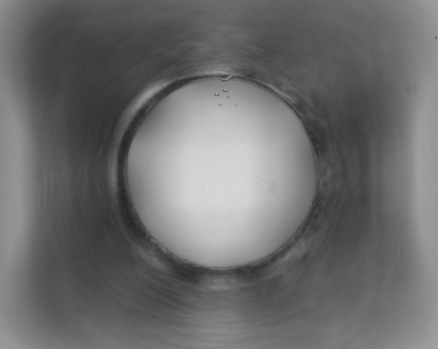 X0000111380200200907311100