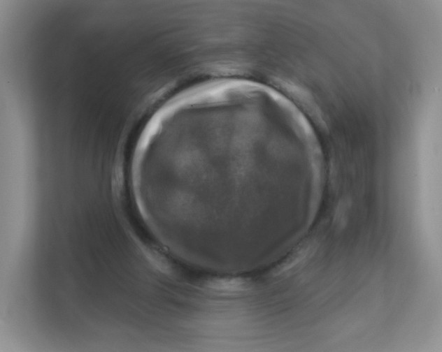 X0000111380202200907311100