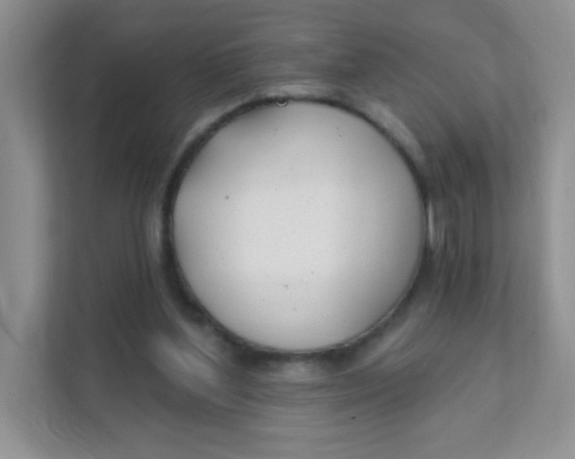 X0000111380204200907311100