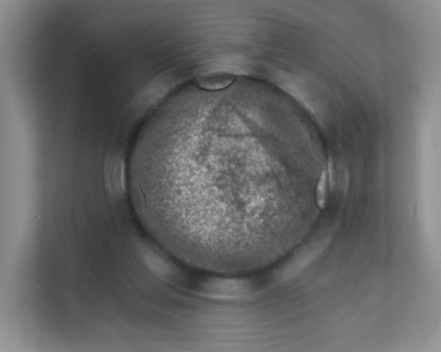 X0000111380205200907311100