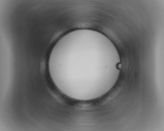 X0000111380208200907311100