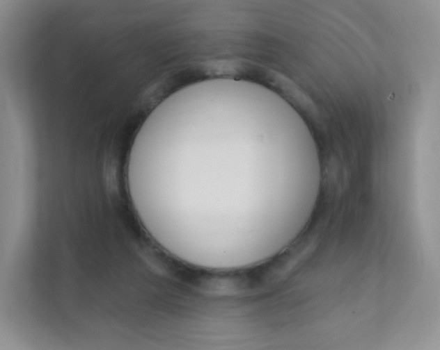 X0000111380209200907311100