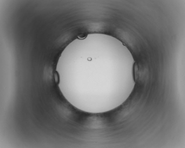 X0000111380211200907311100