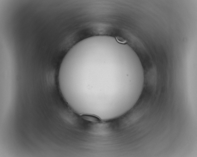 X0000111380217200907311100