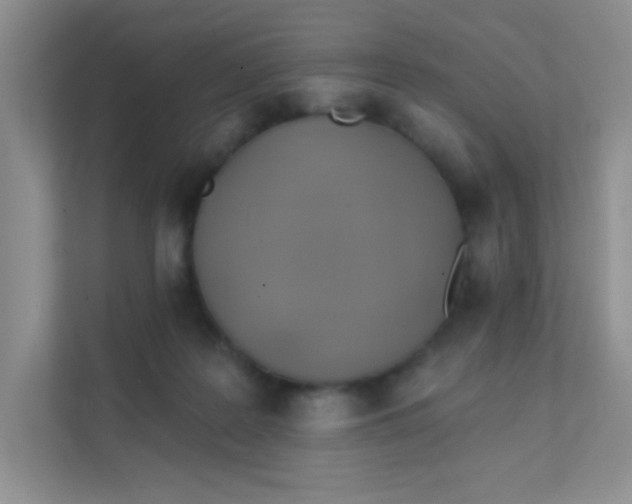 X0000111380219200907311100