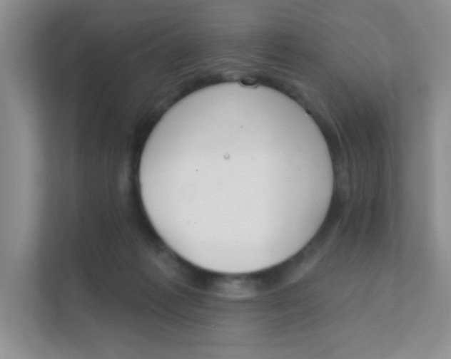 X0000111380221200907311100