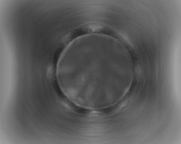 X0000111380222200907311100