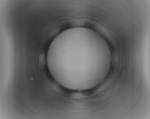 X0000111380224200907311100