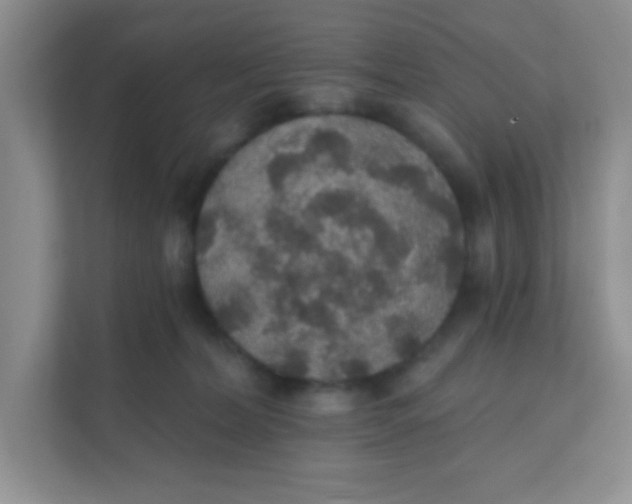 X0000111380228200907311100