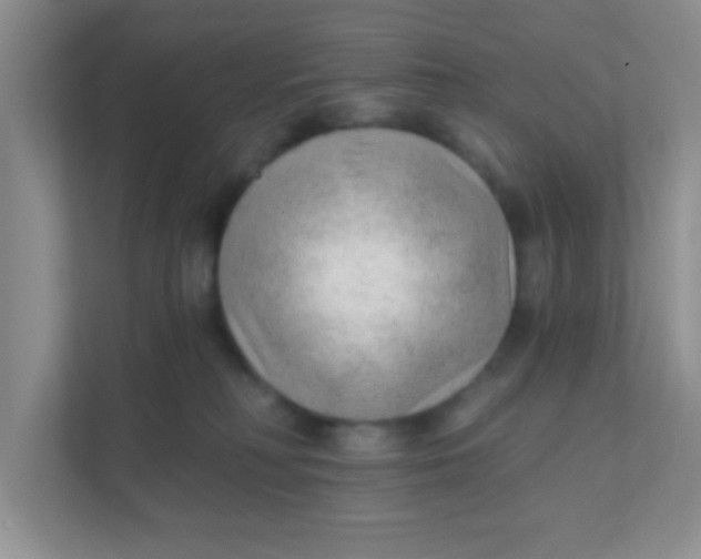 X0000111380230200907311100