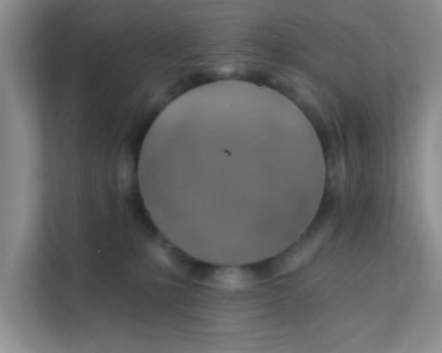 X0000111380231200907311100