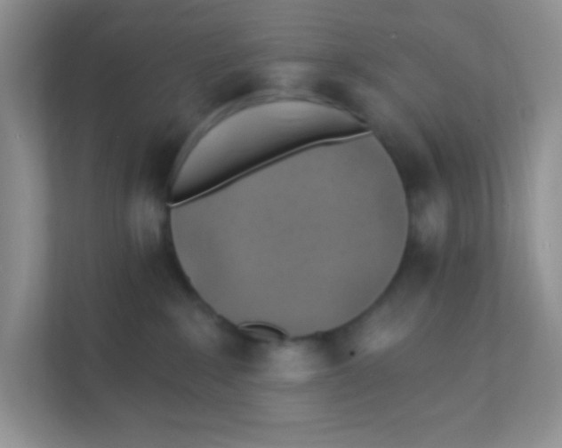 X0000111380235200907311100