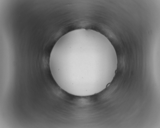 X0000111380236200907311100