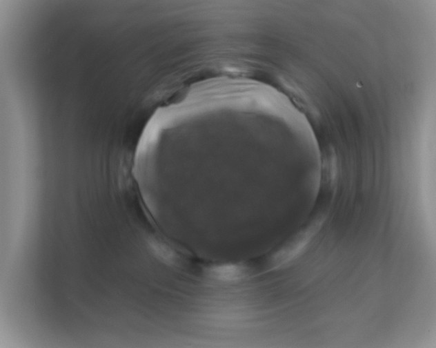 X0000111380237200907311100