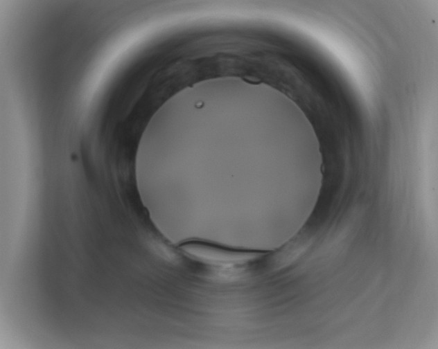 X0000111380239200907311059