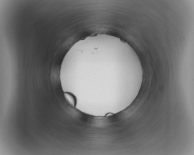 X0000111380240200907311059