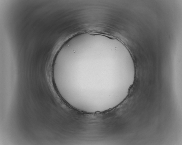 X0000111380241200907311059