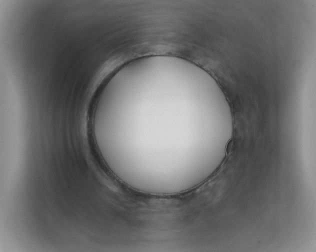 X0000111380242200907311059