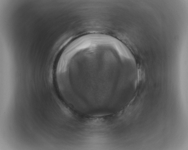 X0000111380243200907311059