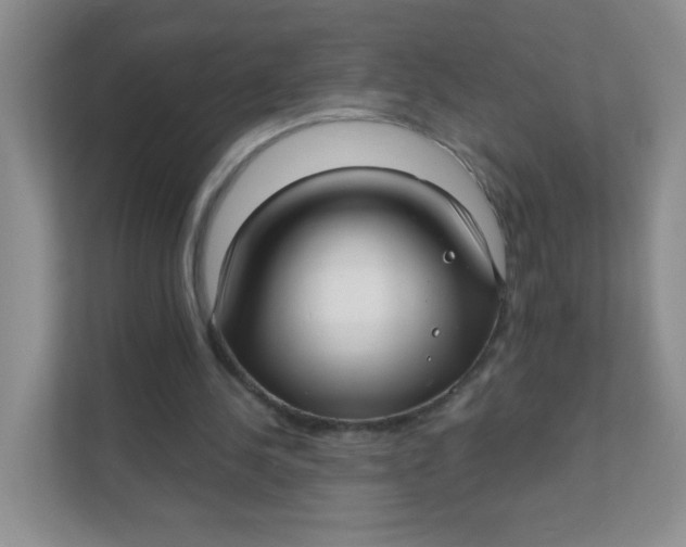 X0000111380244200907311059