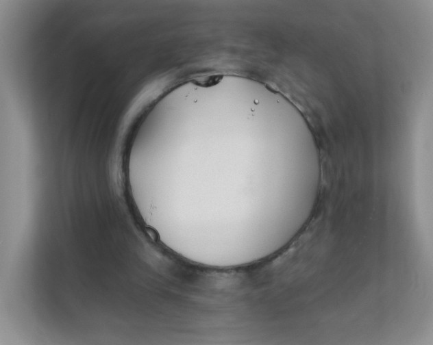 X0000111380245200907311059