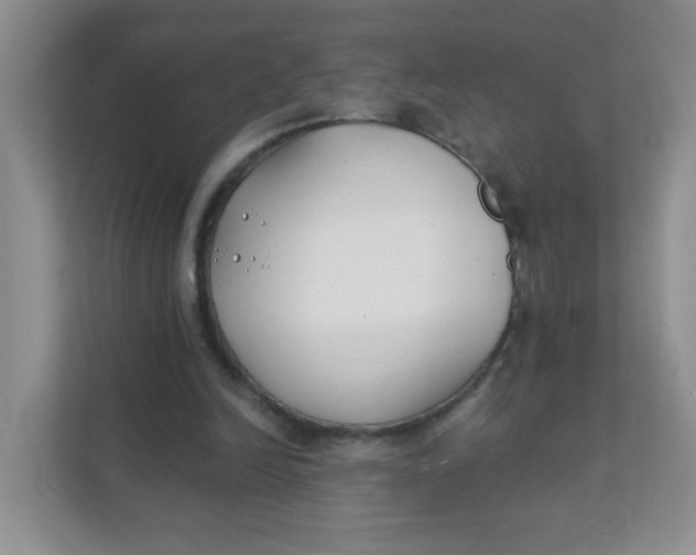 X0000111380246200907311059