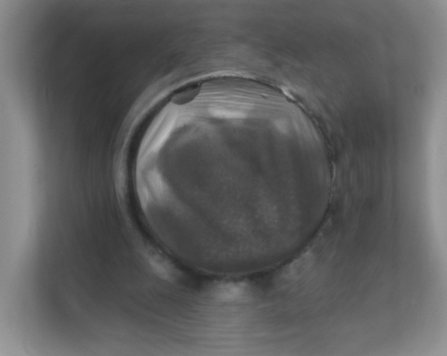 X0000111380247200907311059