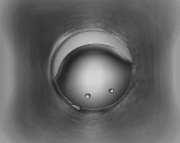 X0000111380248200907311059