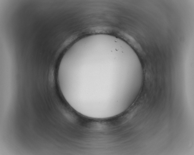 X0000111380250200907311059