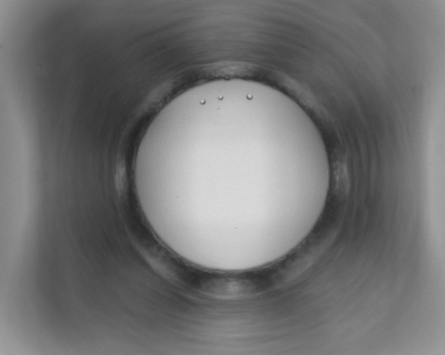 X0000111380254200907311059