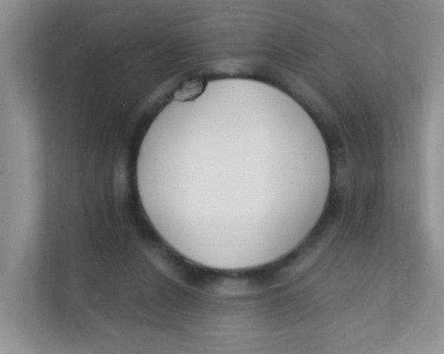 X0000111380256200907311059