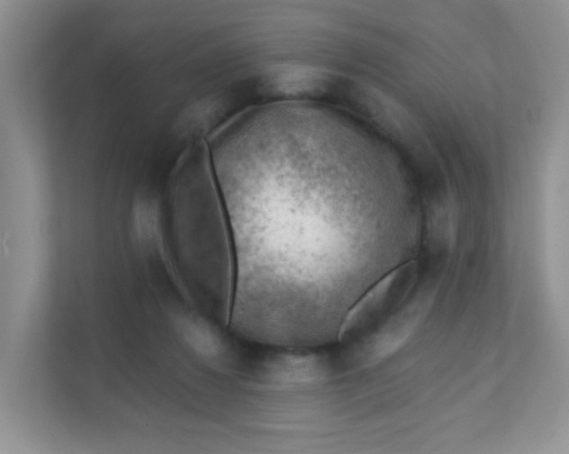 X0000111380260200907311059