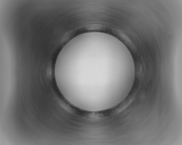 X0000111380261200907311059