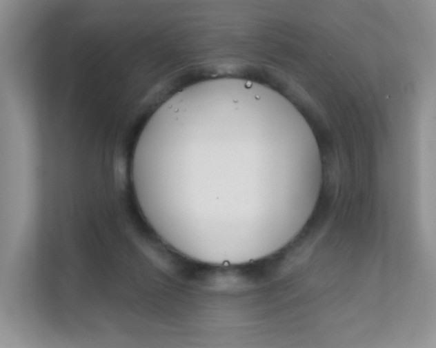 X0000111380262200907311059