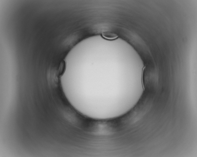 X0000111380264200907311059