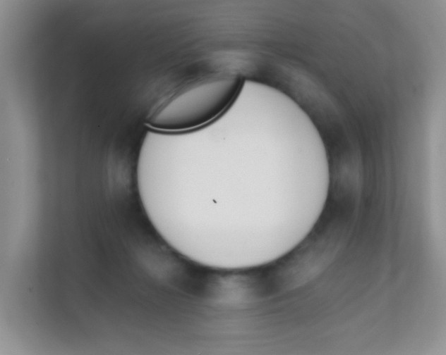 X0000111380268200907311059