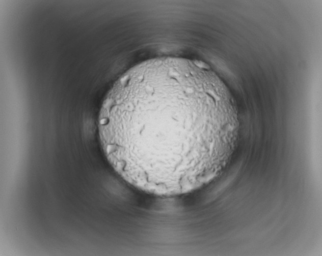 X0000111380269200907311059