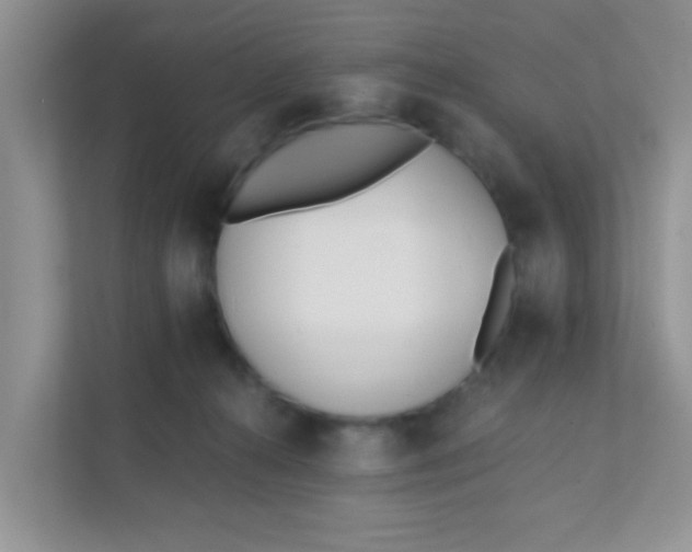 X0000111380272200907311059