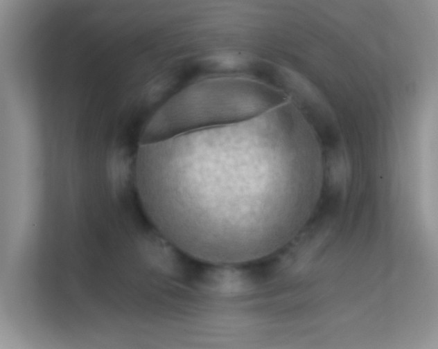 X0000111380276200907311059