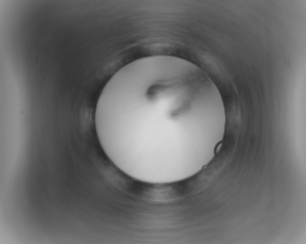 X0000111380278200907311059