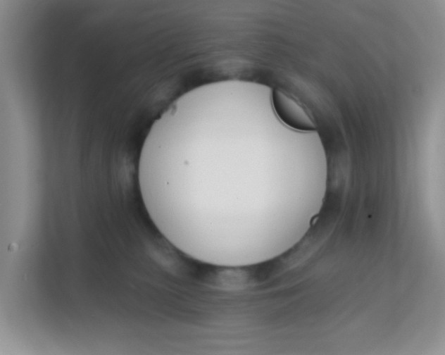 X0000111380279200907311059