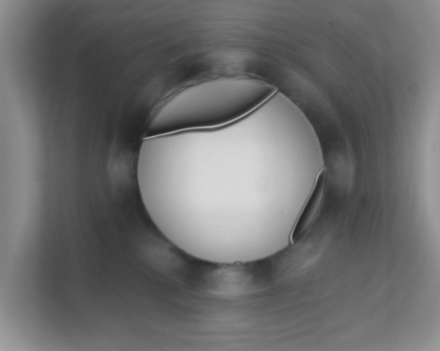 X0000111380280200907311059